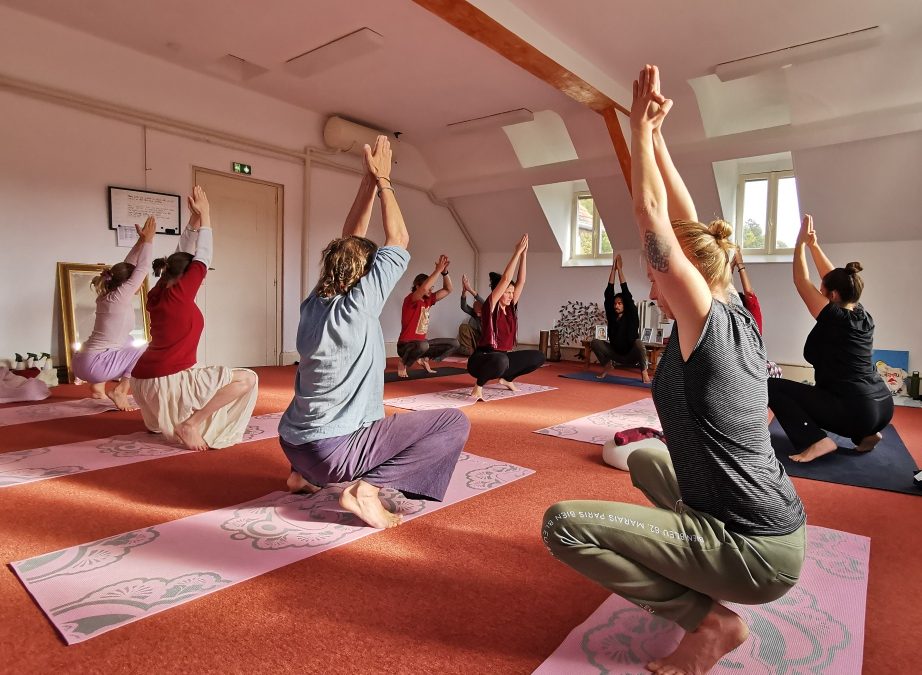De volgende Yoga Teacher Training start in oktober.